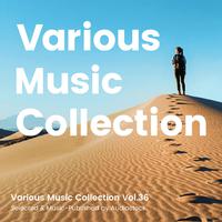 Various Music Collection Vol.36 -Selected & Music-Published by Audiostock-