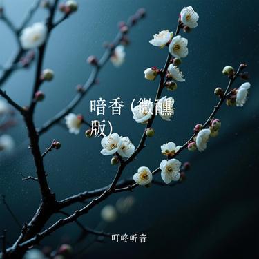 暗香  (微醺版) (Cover 萌七七)封面