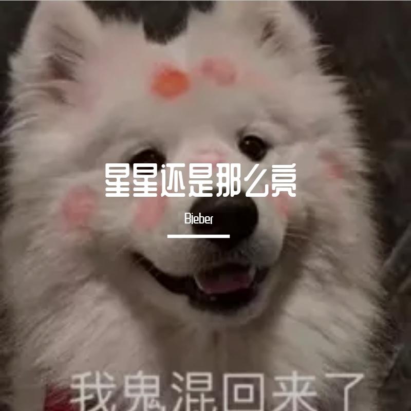 星星还是那么亮（翻自 王逸辰）