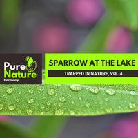 Sparrow at The Lake - Trapped in Nature, Vol.4