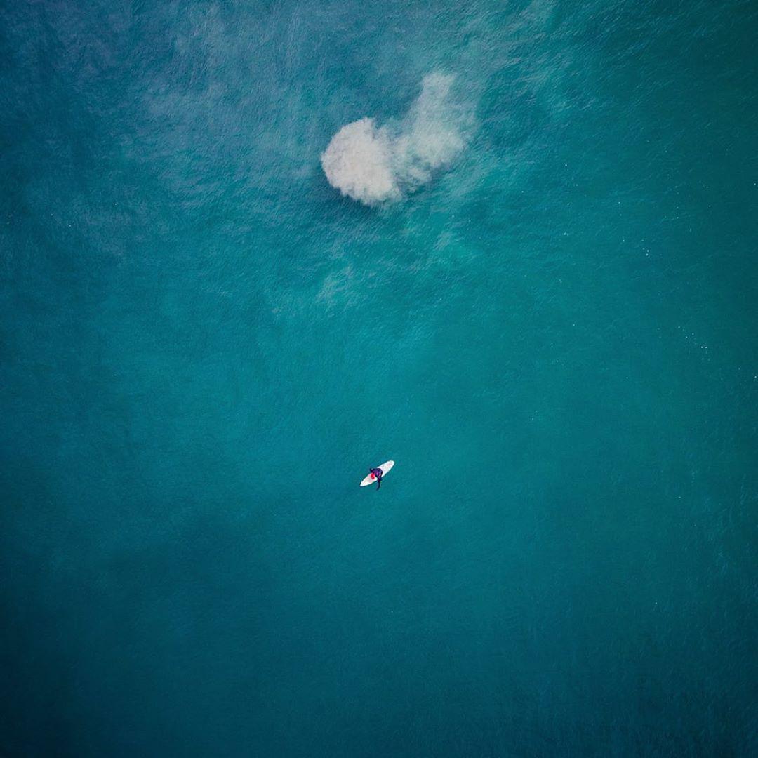 向海而生封面
