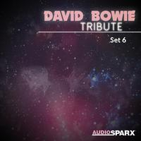 David Bowie Tribute, Set 6