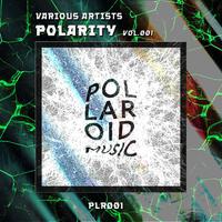 Polarity, Vol. 001