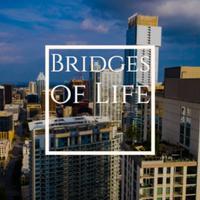 Bridges of Life