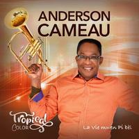 Anderson Cameau - Ou Paka Take Care Ti Granmoun Sa (feat. Dony Felix, Tom Michel, Jimmy Jean Felix & Wesner Louis)