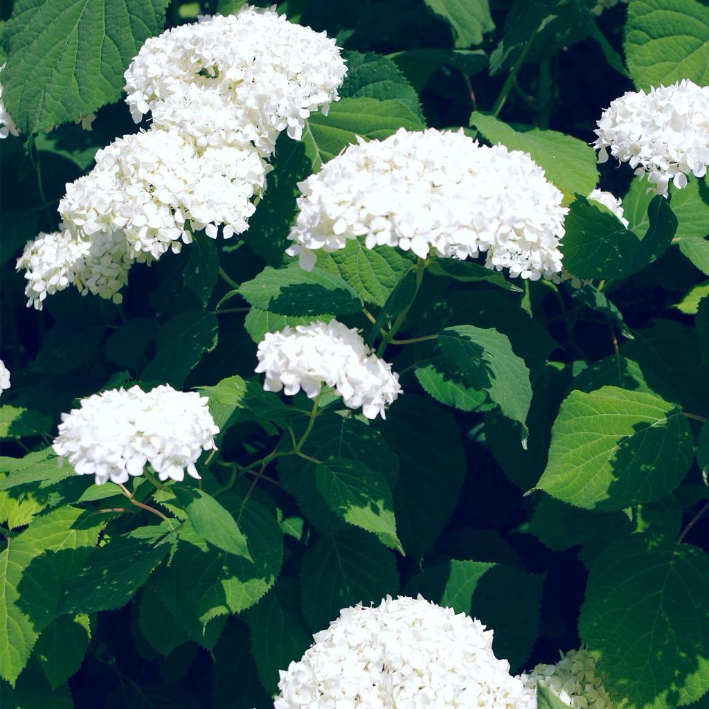 我的日推都是宝藏啊