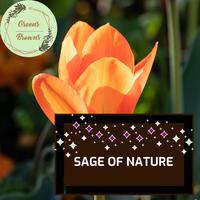 Sage of Nature