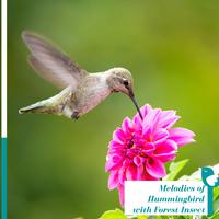 Melodies of Hummingbird with Forest Insect