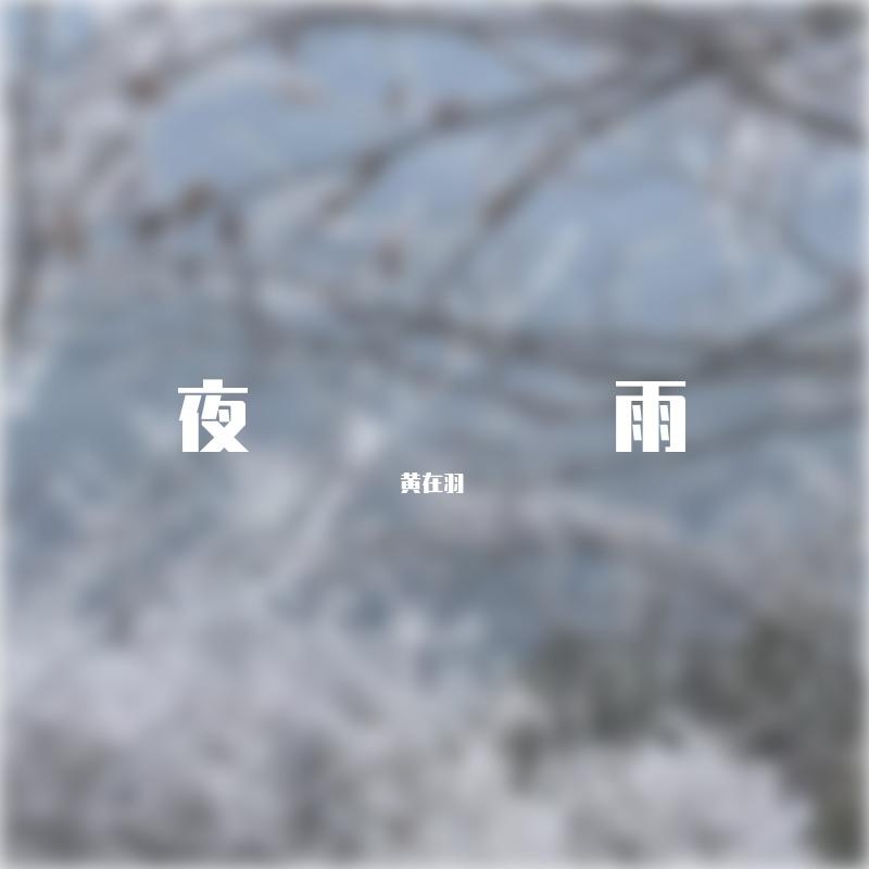 冰河入梦封面