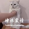 野猪佩奇 - 修炼爱情