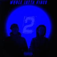 WHOLE LOTTA VIBES 2