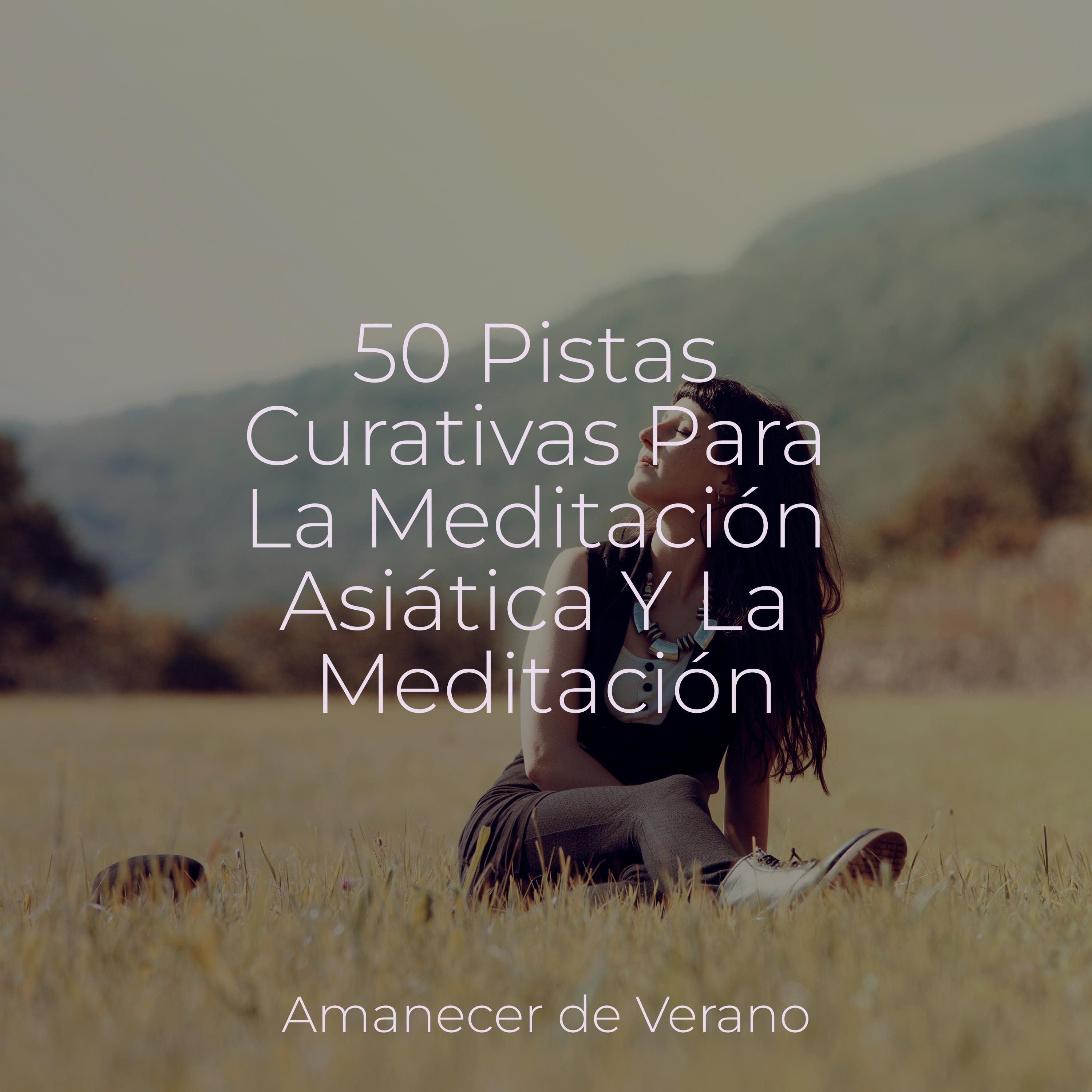 Amanecer de Flores Armoniosas