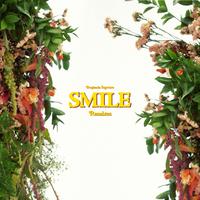 Smile (Remixes)