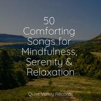 50 Comforting Songs for Mindfulness, Serenity & Relaxation