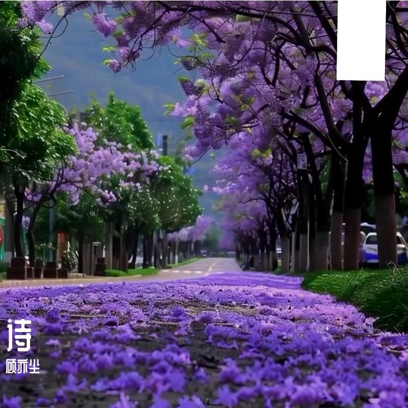 蝶恋花.春景封面