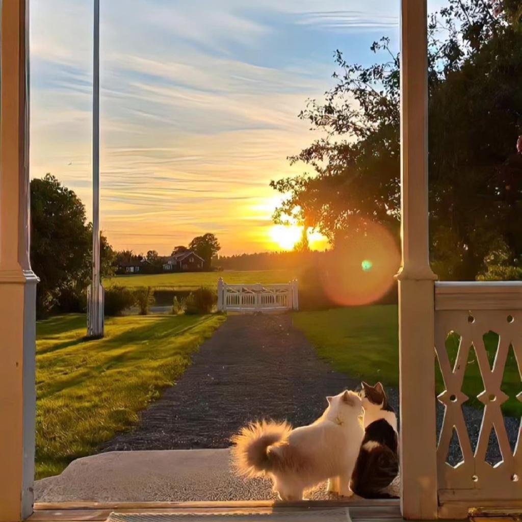 Daydream | 阳光 好天气 舒适的歌单