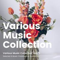 Various Music Collection Vol.73 -Selected & Music-Published by Audiostock-