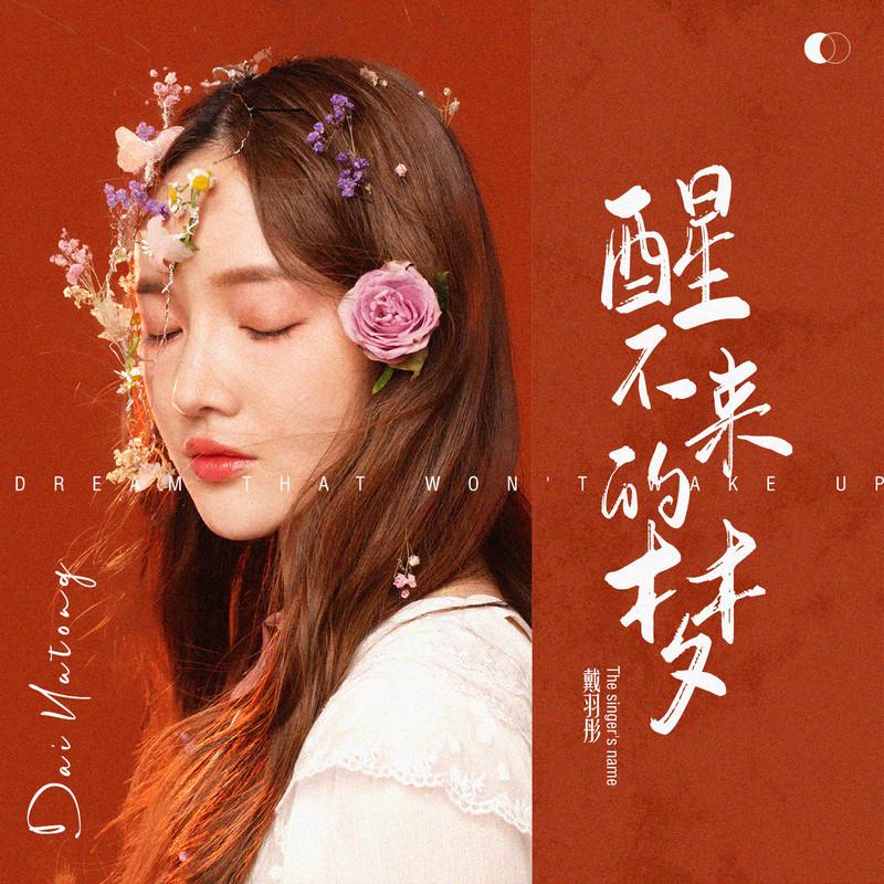 醒不来的梦(伴奏版)封面