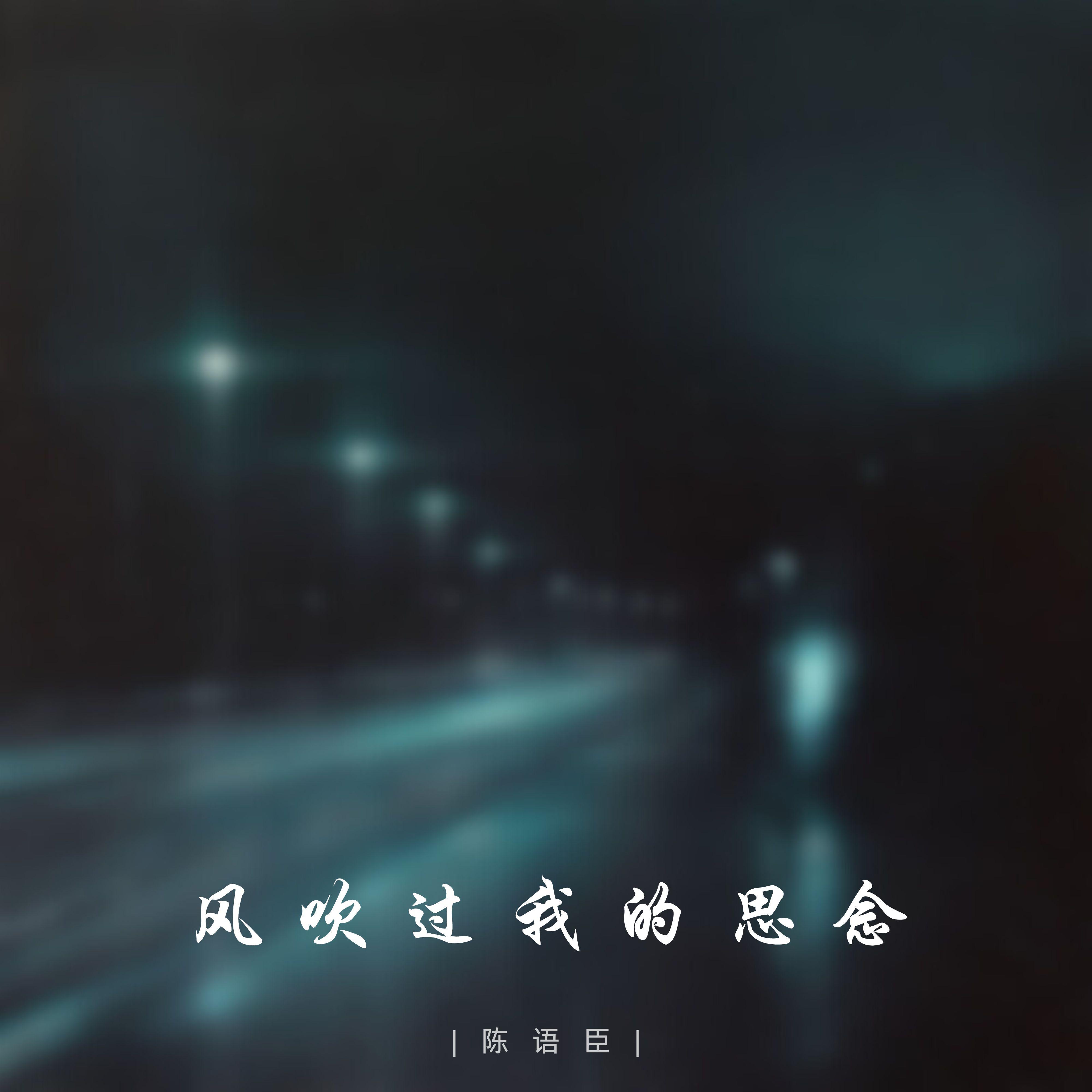 风吹过我的思念封面