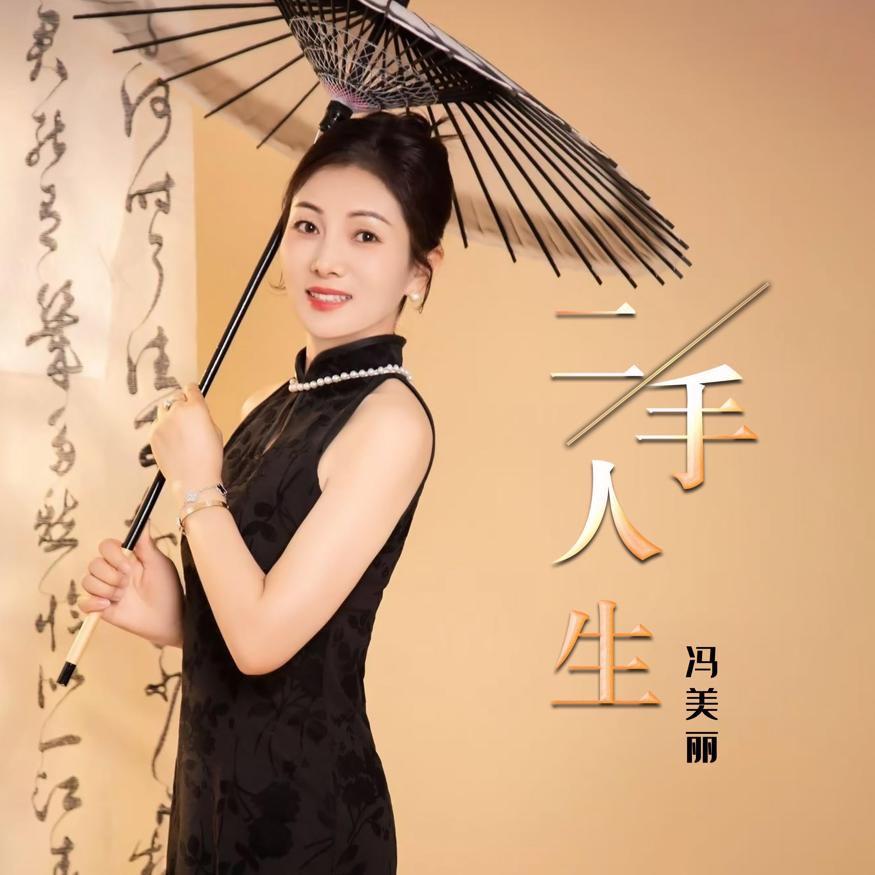 二手人生 (Dj何鹏版伴奏)封面