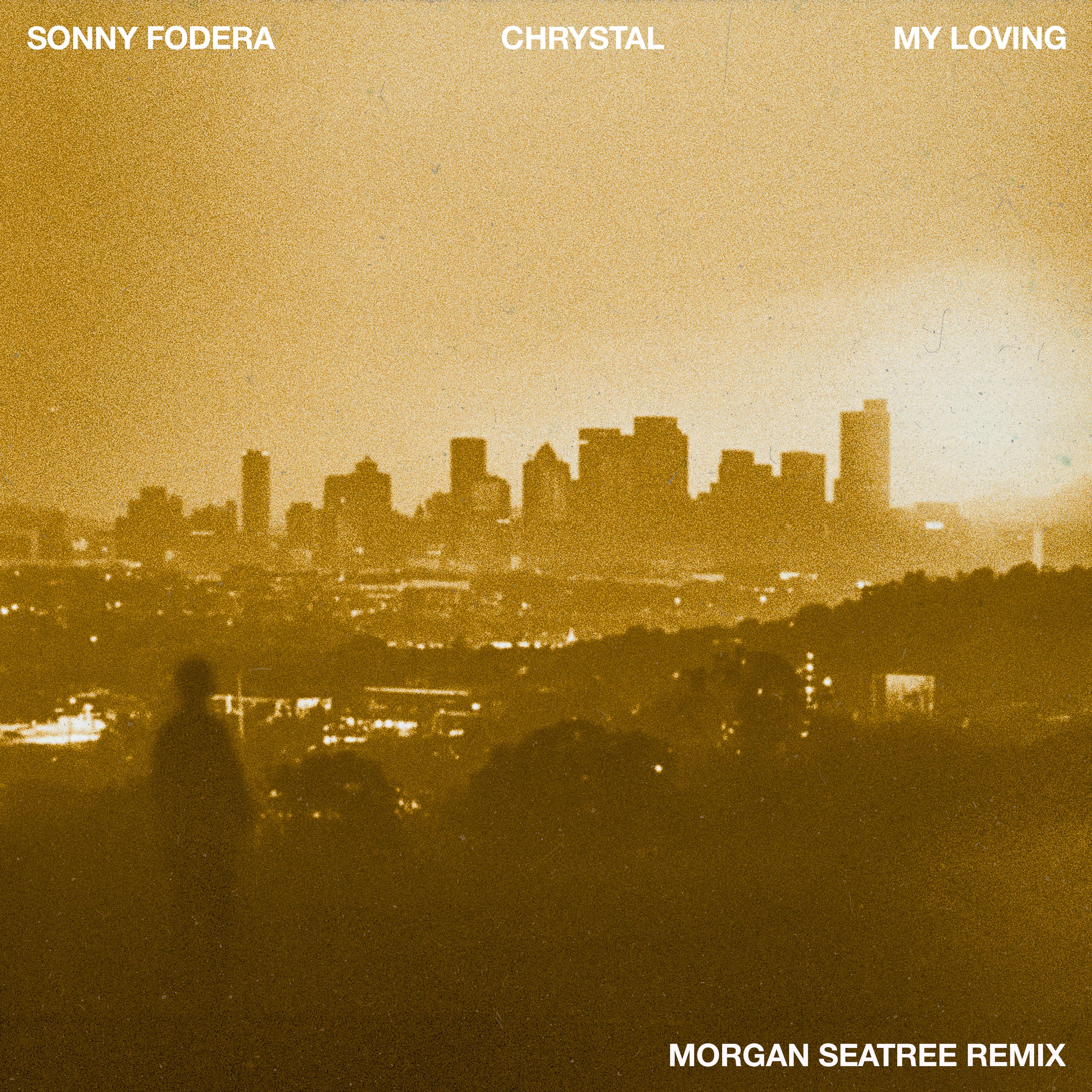 My Loving (Morgan Seatree Remix)