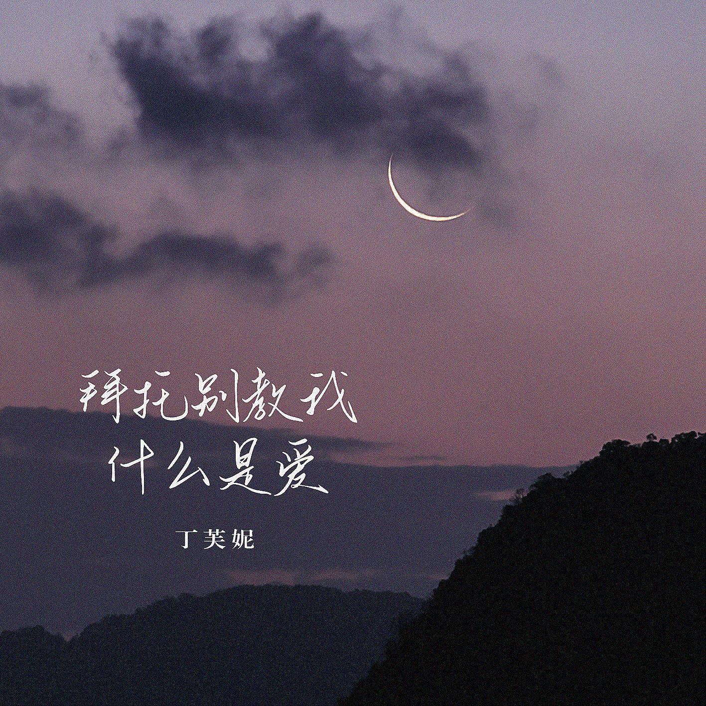 拜托别教我什么是爱封面
