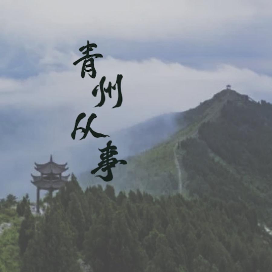 青州从事封面