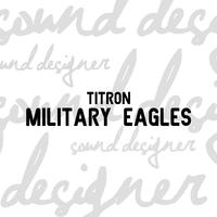 Military Eagles