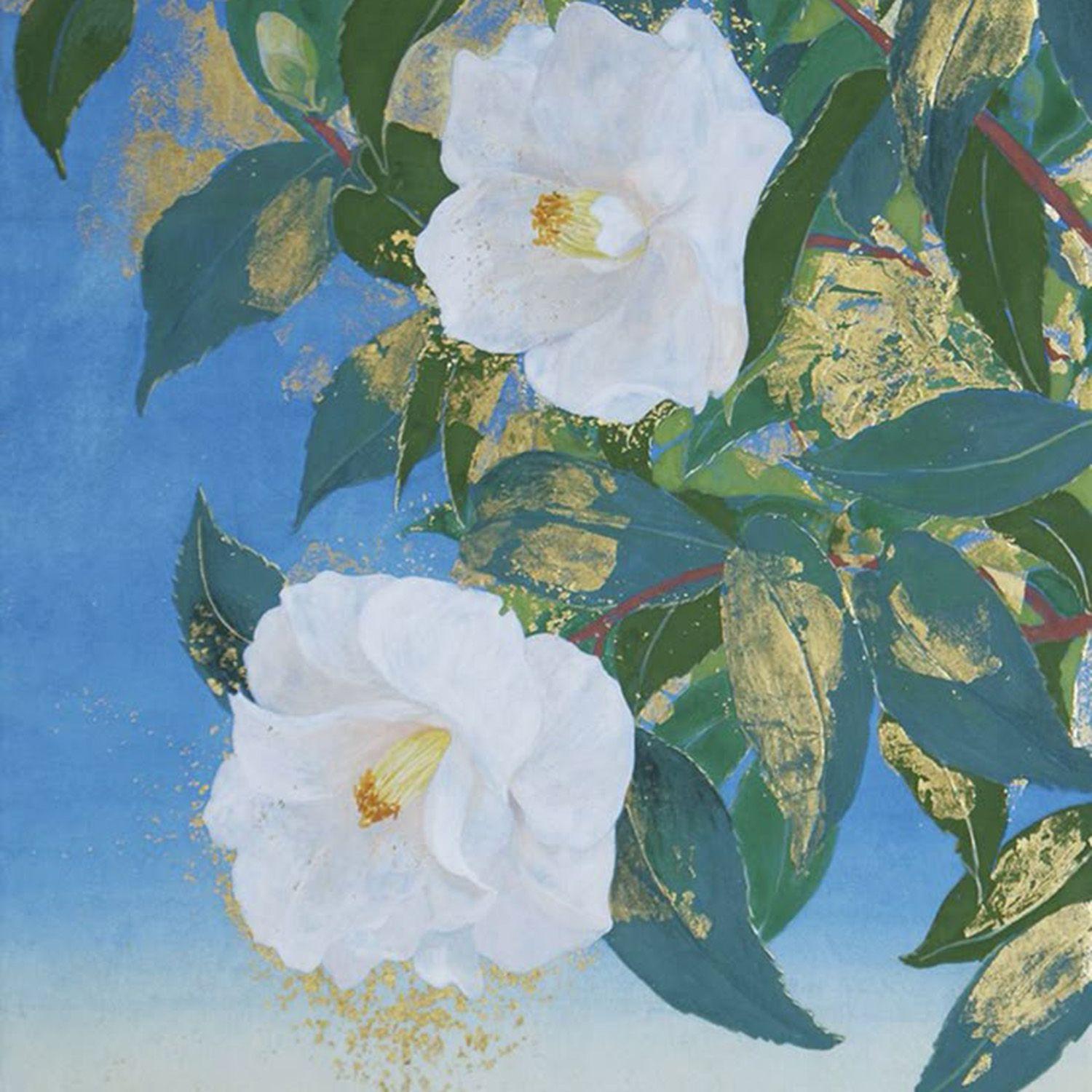 camellia （山茶花）