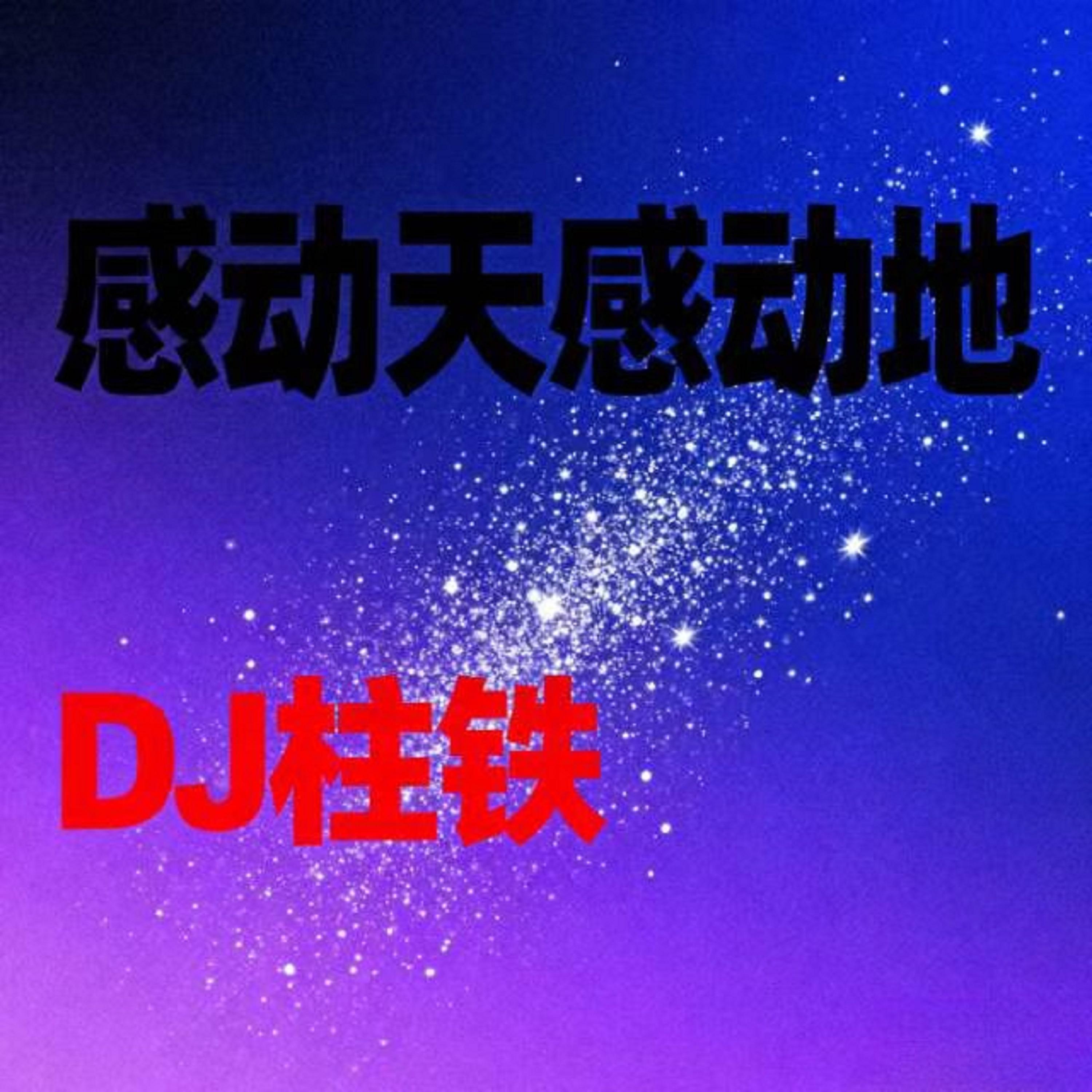 感动天感动地 (天地版)封面