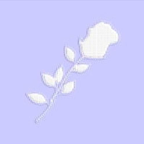Glassy_Lil Peep_Glassy | 在线播放_Glassy歌词_Glassy下载 | 网易云音乐