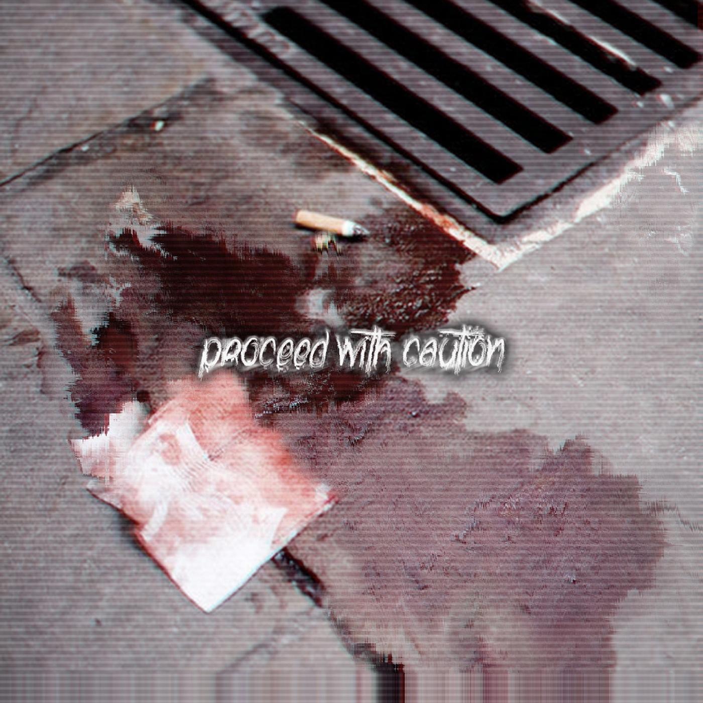 ERRXR (prod. The Wild Dutchman)_muppy_PROCEED WITH CAUTION | 在线播放_ERRXR (prod. The Wild Dutchman)歌词_ERRXR (prod. The Wild Dutchman)下载 | 网易云音乐