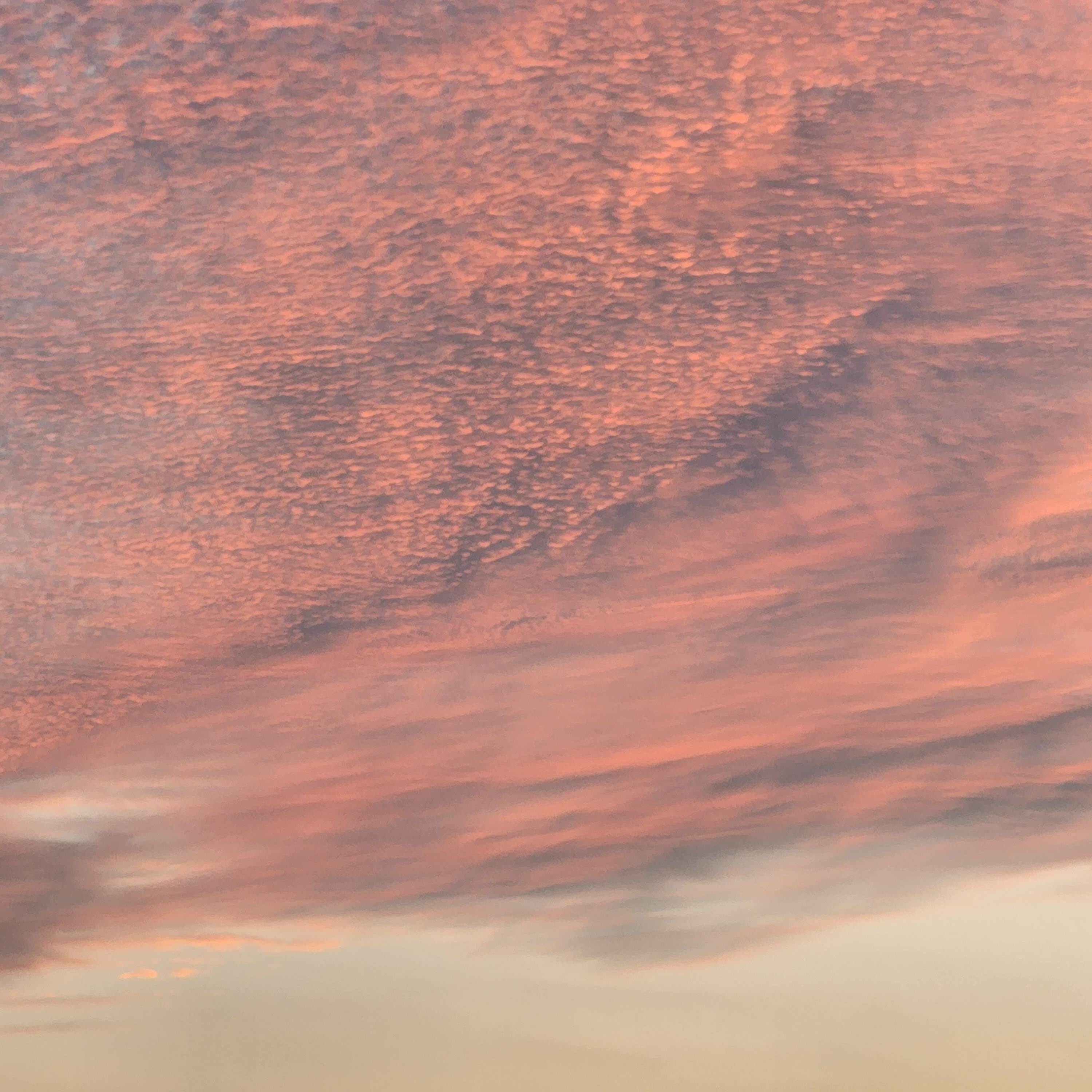 Summons of Spring (Bonus Track)