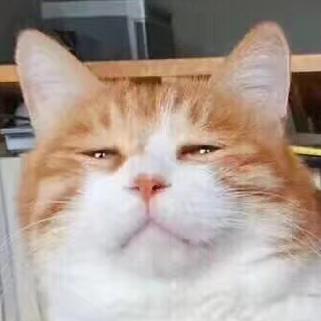 我叫柚子但是不爱吃柚子