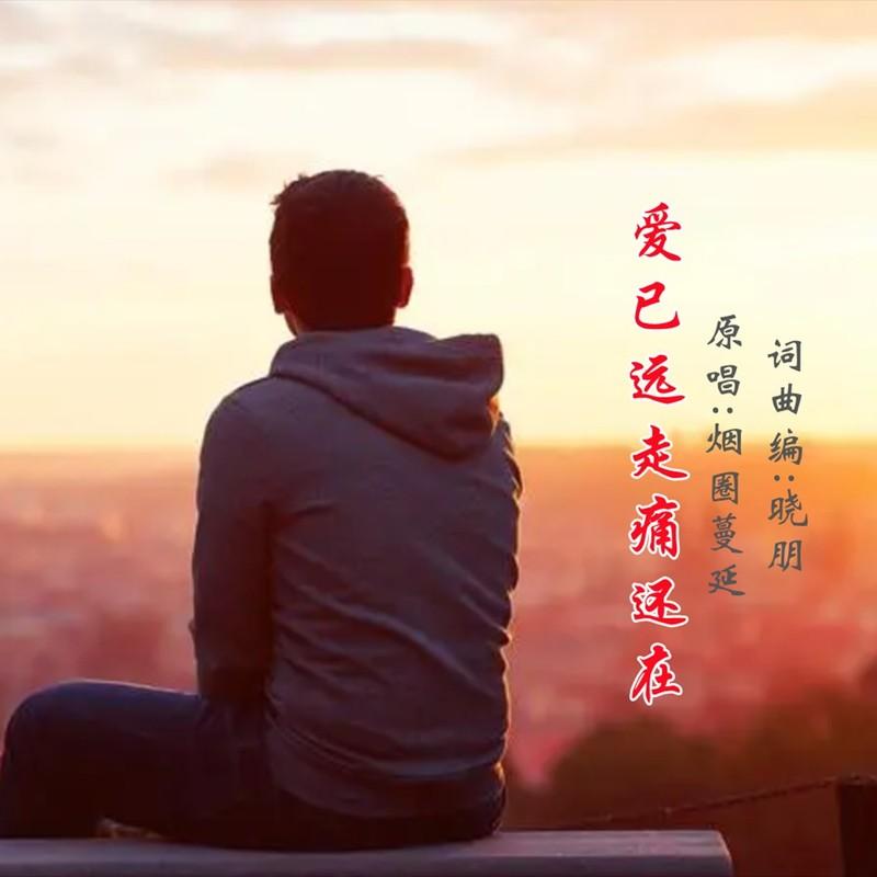 爱已远走痛还在DJ (男版)封面