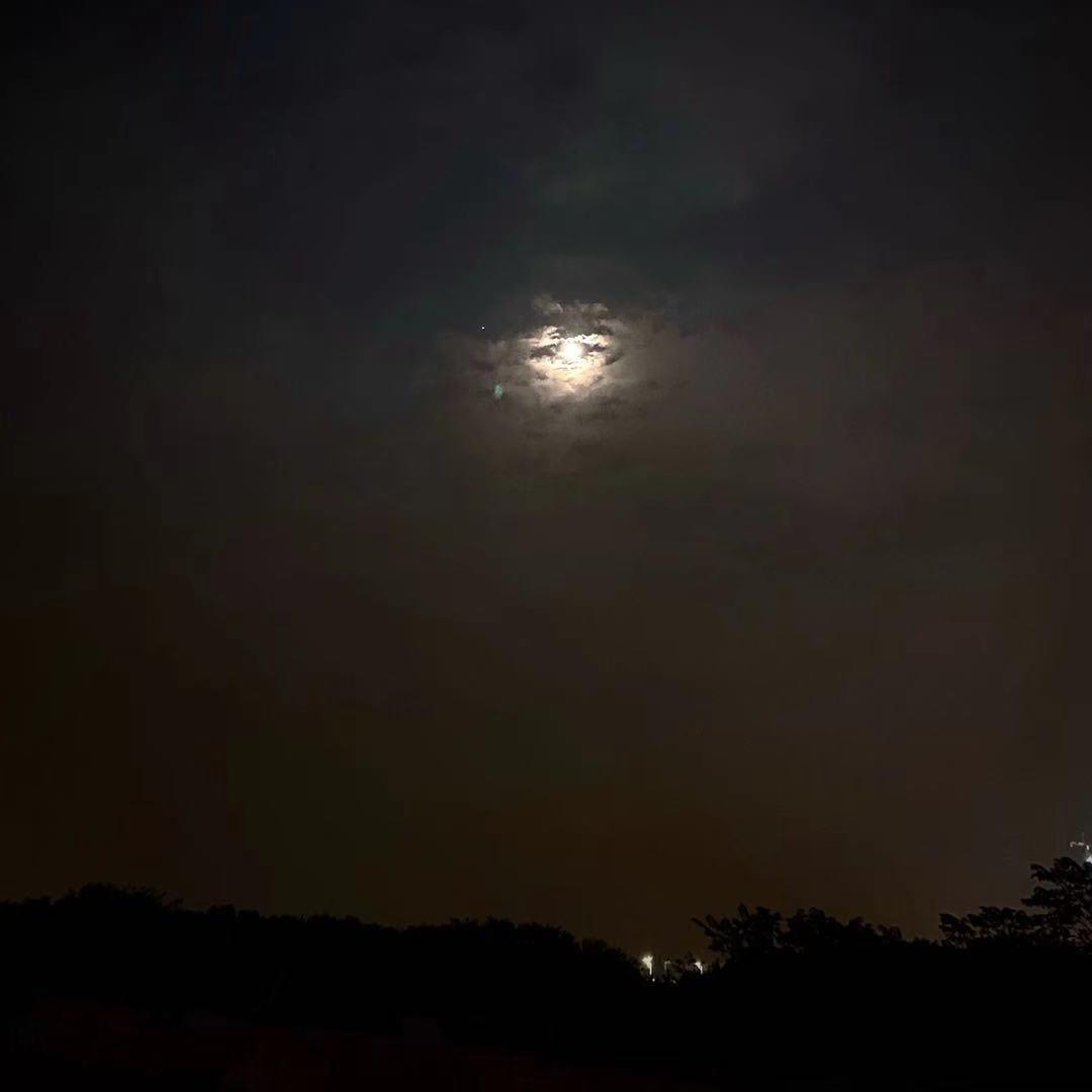 混账封面