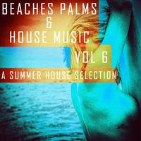 Beaches, Palms & House Music: 6