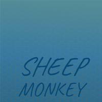 Sheep Monkey