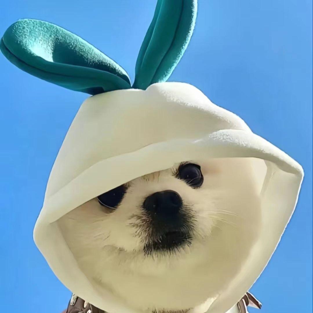 触动心灵封面