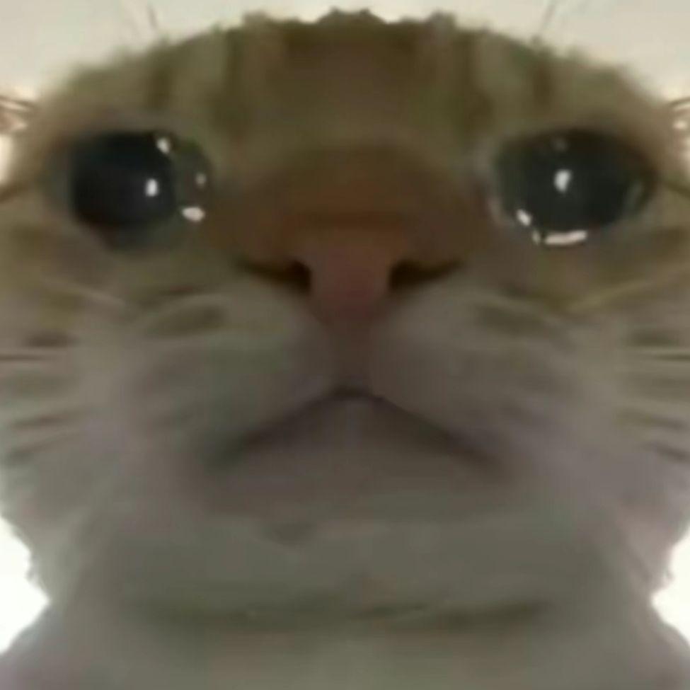 Penny-打火机 (哈基米南北绿豆)-Xyvra（Jovin remix）