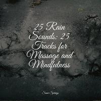 25 Rain Sounds: 25 Tracks for Massage and Mindfulness