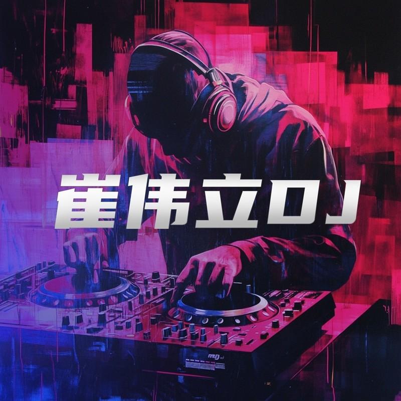 飞蛾扑火(DJ版)封面