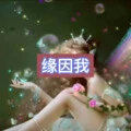 这个人已经与我无关 (繁星版)封面