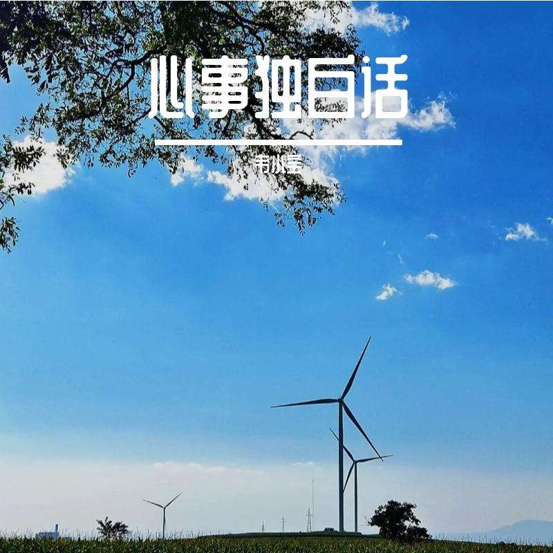 阳光多明媚封面