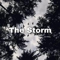 The Storm