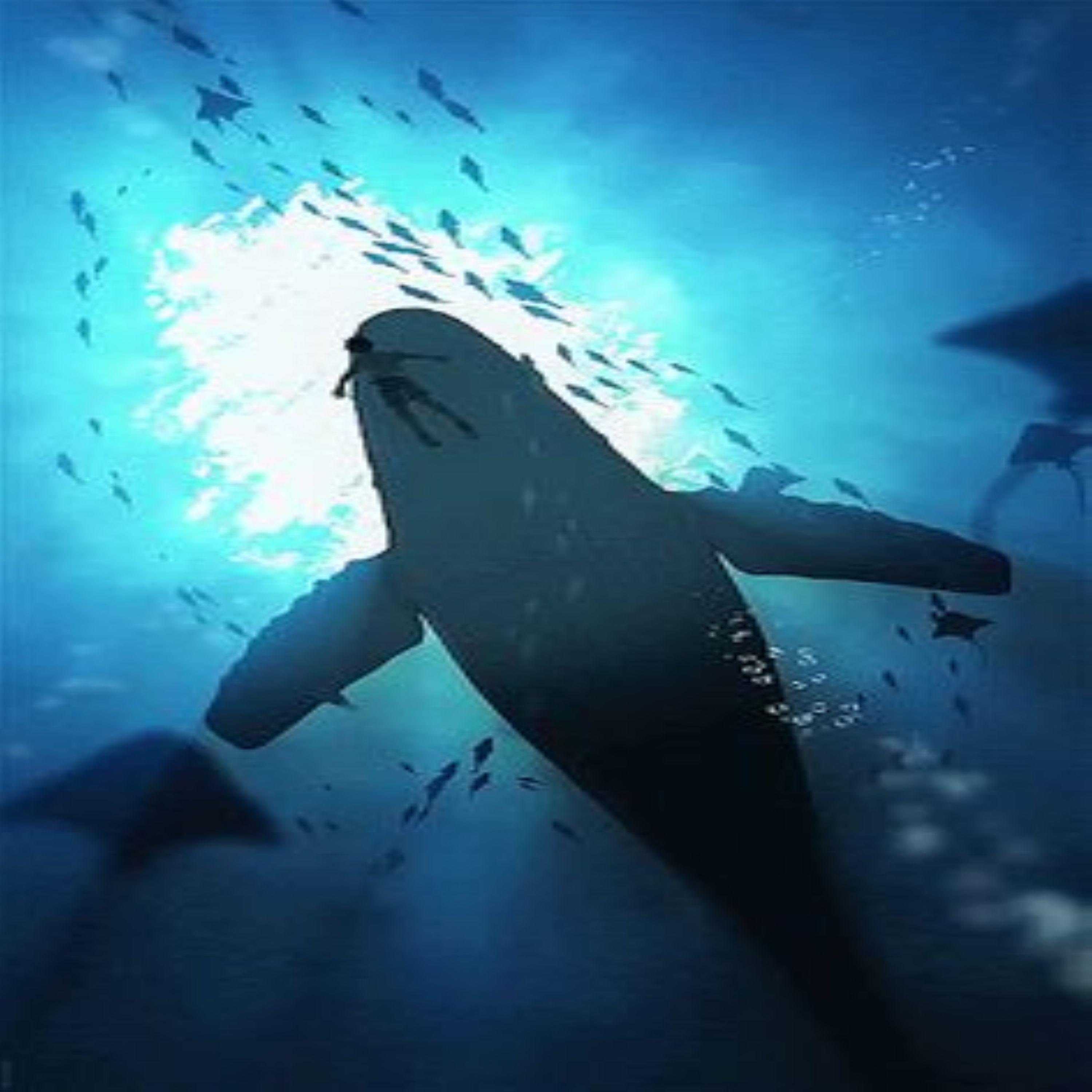 FUNK INFERNAL (slowed)