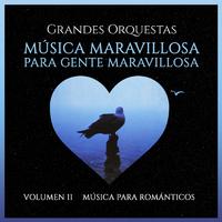 Grandes Orquestas: Música Maravillosa para Gente Maravillosa (Volumen 11)