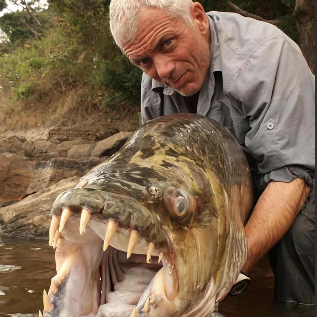 我是杰瑞米瓦德（Everywhere We Go）