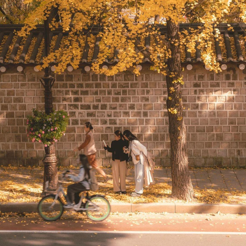 纯音乐 | 助眠治愈轻音乐精选