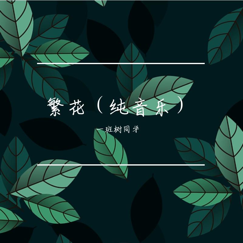 星与海 - 一班树同学封面